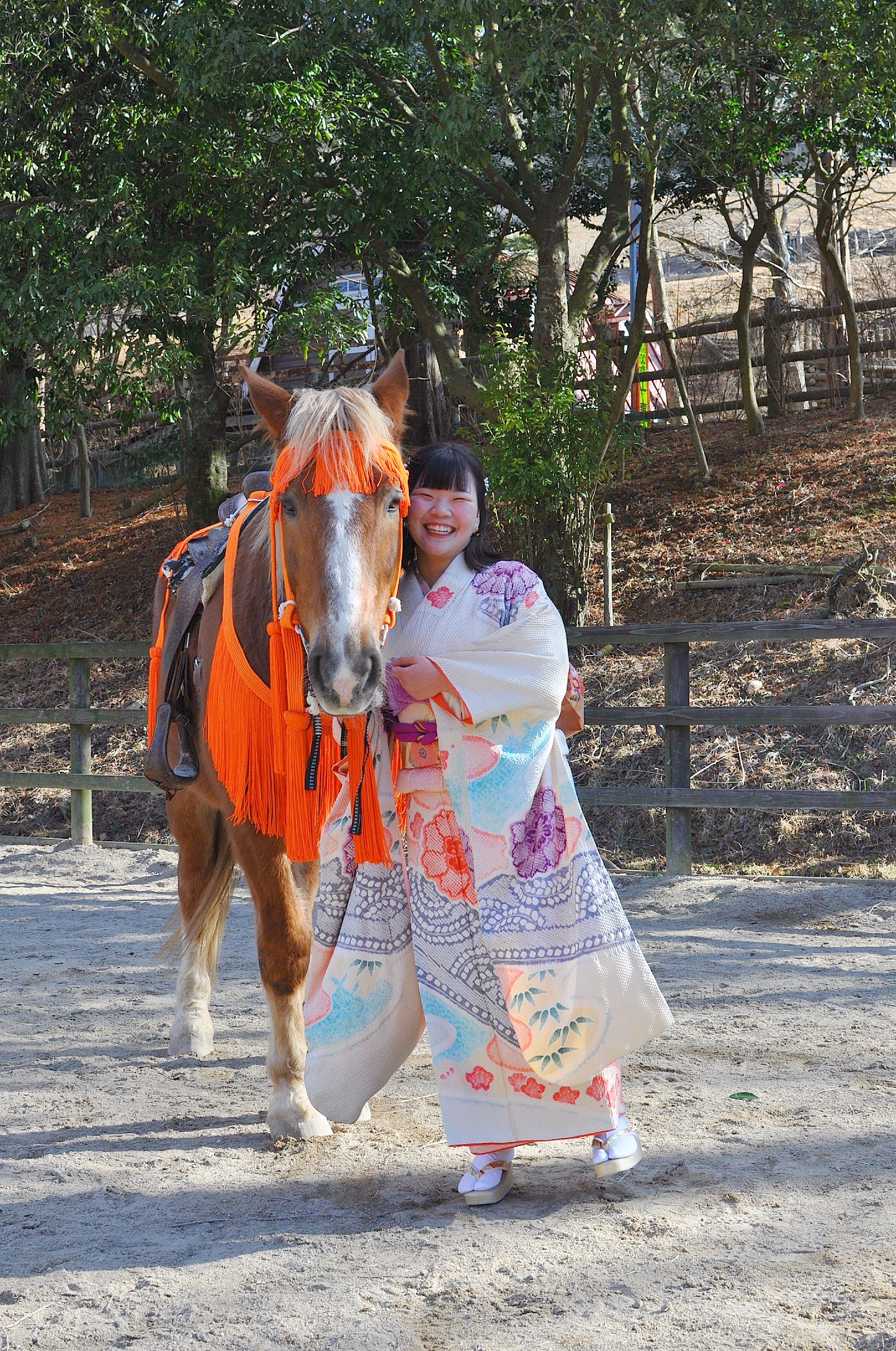 六甲山牧場での成人式・前撮り