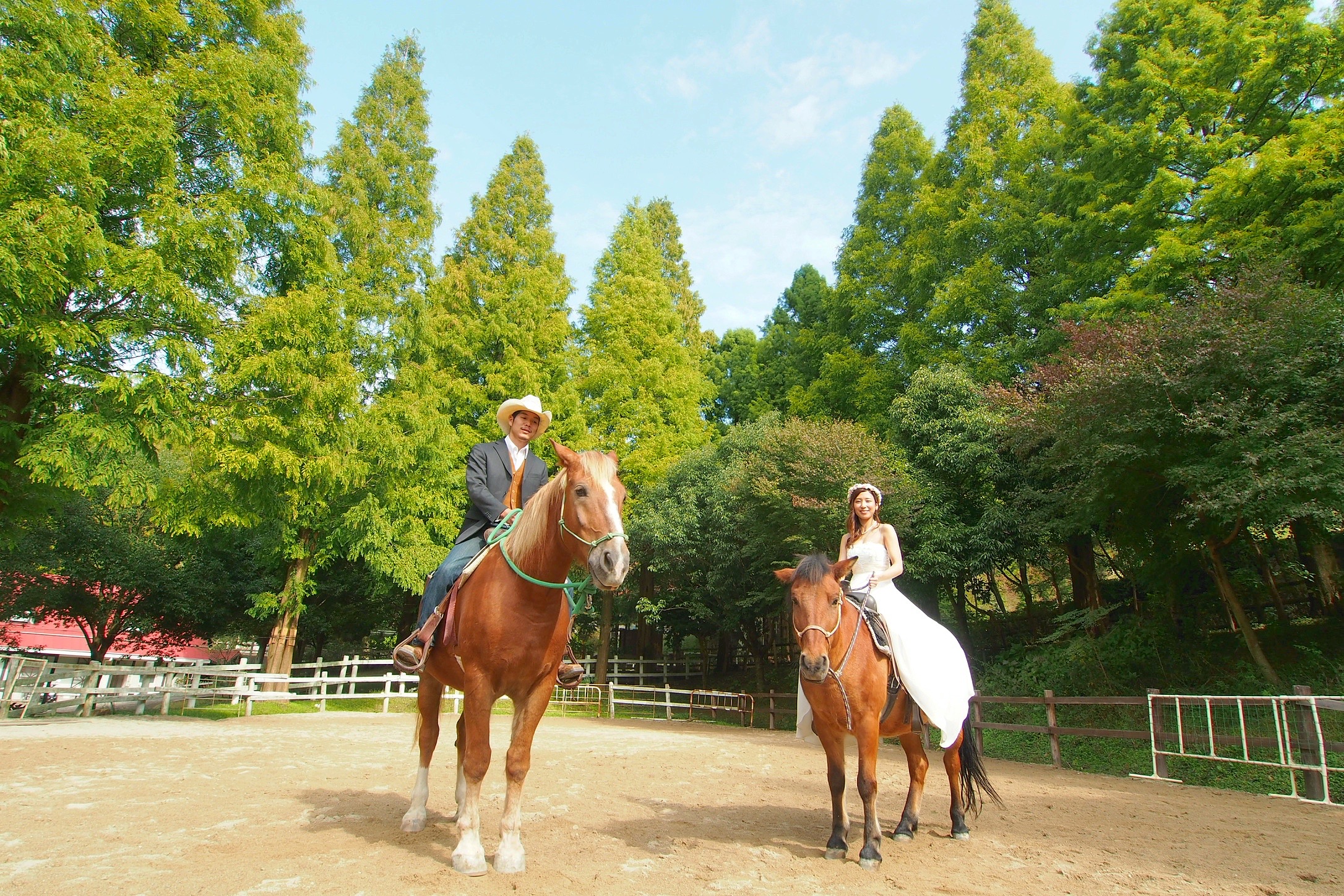六甲山牧場で馬に乗っての撮影